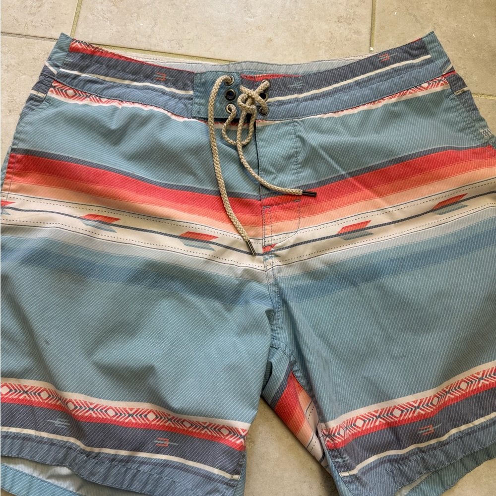 Men's Multicolor Striped Swim Shorts